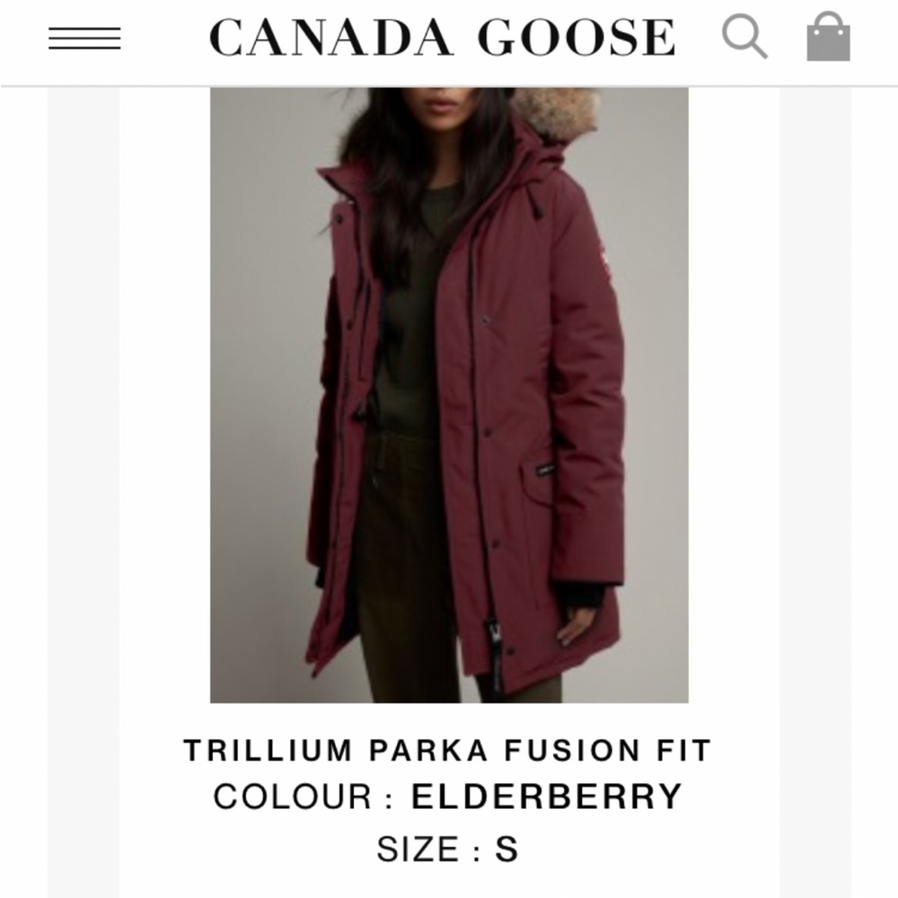 Wine colored Canada Goose